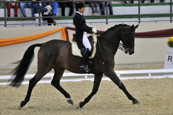 Dressage World Cup Competition — Stock Photo, Image