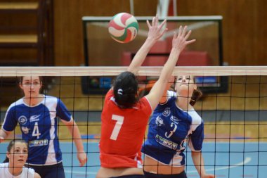 Kaposvar - budai XI Voleybol oyunu