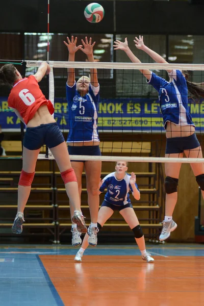 Kaposvar - budai xi volleyball spiel — Stockfoto