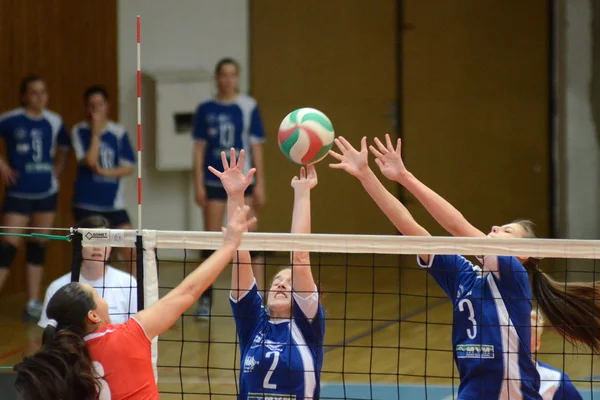 Kaposvar - budai xi volleyball spiel — Stockfoto