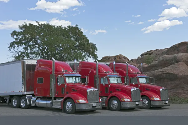 Caminhões semi estacionados juntos — Fotografia de Stock