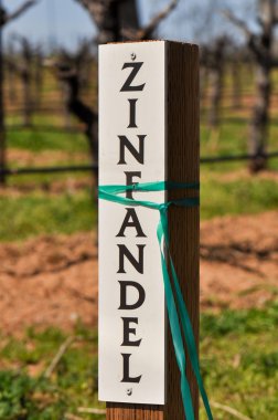 Zinfandel şarap marker