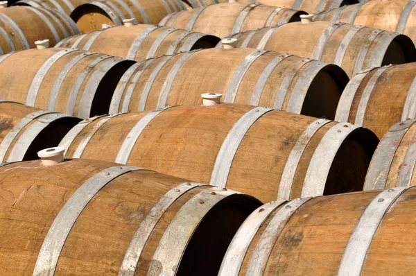 Vários barris de vinho — Fotografia de Stock