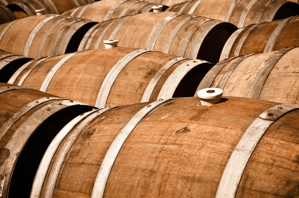 Vários barris de vinho em uma adega — Fotografia de Stock