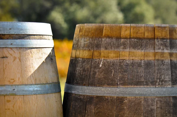 Вино барель — стокове фото
