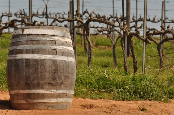 Винный бочонок в винограднике Напа — стоковое фото