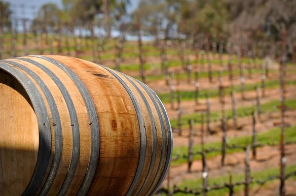 Vinný sud v napa vinice — Stock fotografie