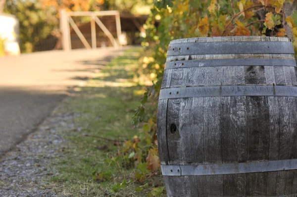 Barril de vinho — Fotografia de Stock
