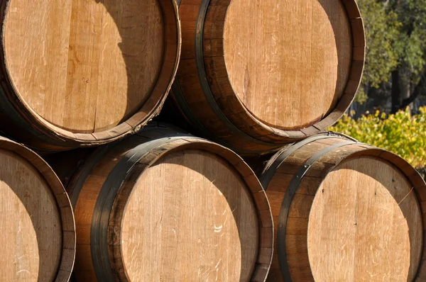 Barricas de vino en otoño —  Fotos de Stock