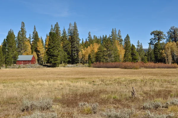 Hütte im Herbst — Stockfoto
