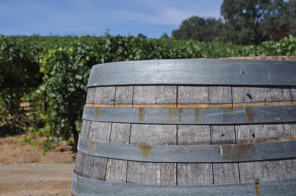 Vinný sud a vinice — Stock fotografie
