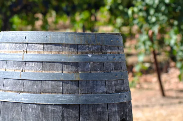Wijn vat en wijngaard — Stockfoto