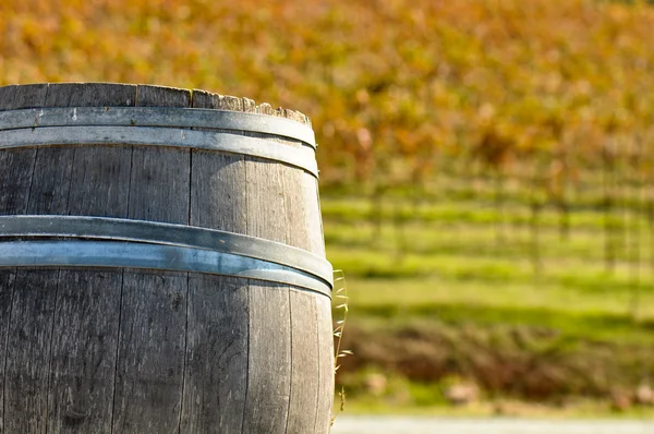 Barile di vino in autunno — Foto Stock