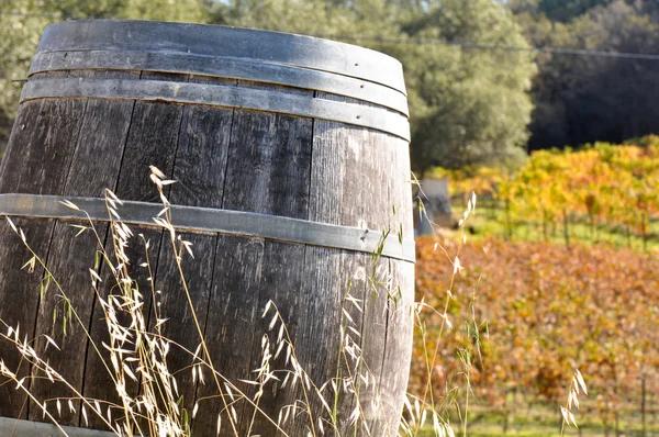 秋のワイン樽 — ストック写真