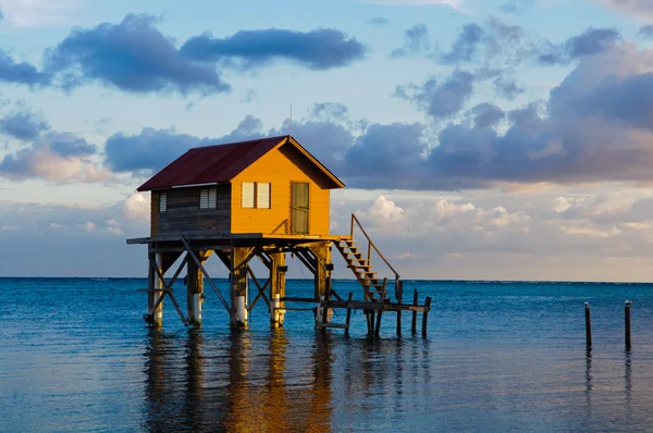 Dom nad brzegiem oceanu na ambergris caye belize — Zdjęcie stockowe