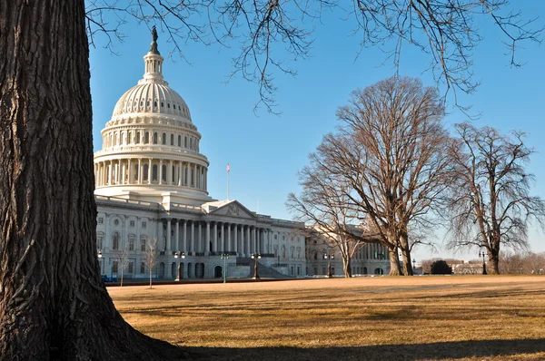 Capital Hill Gebäude in Washington DC — Stockfoto
