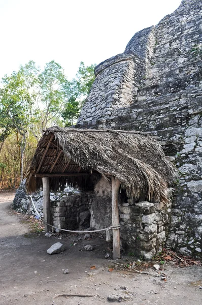 科博玛雅遗迹 — 图库照片