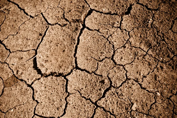 Cracked Dirt Background — Stock Photo, Image