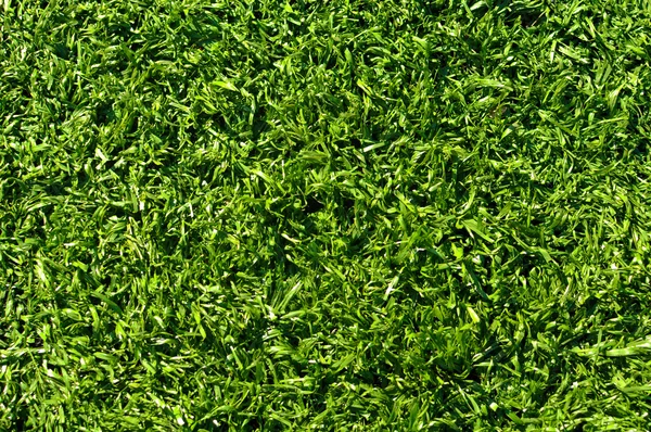 Rumput palsu digunakan pada bidang olahraga untuk sepak bola, bisbol, golf dan — Stok Foto