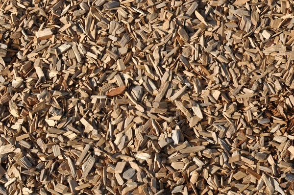 Krajobraz drewna tło — Zdjęcie stockowe