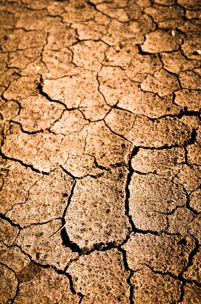 Cracked Dirt Background — Stock Photo, Image