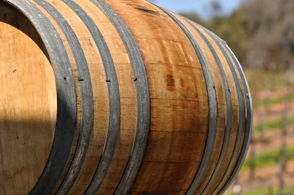 Wine Barrel in Vineyard — Stock Photo, Image