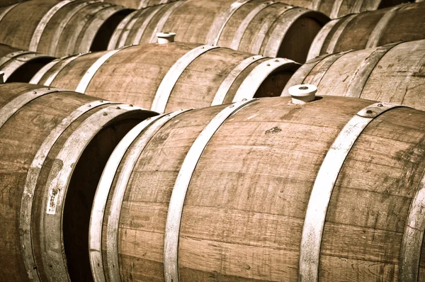 Barris de vinho sendo armazenados em uma adega — Fotografia de Stock