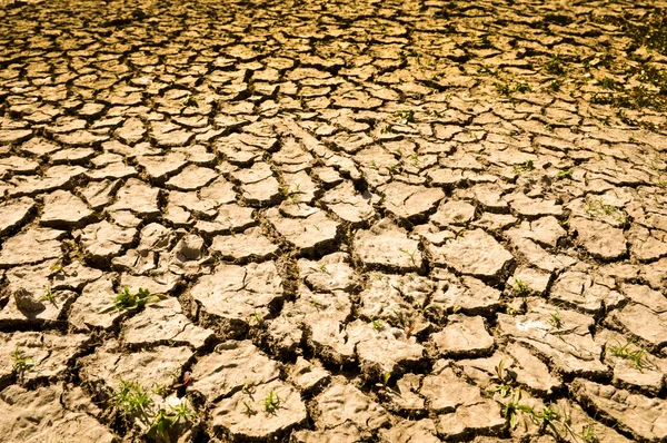 stock image Cracked Ground Background