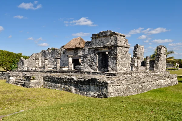 Tulum México Ruinas Mayas — Foto de Stock