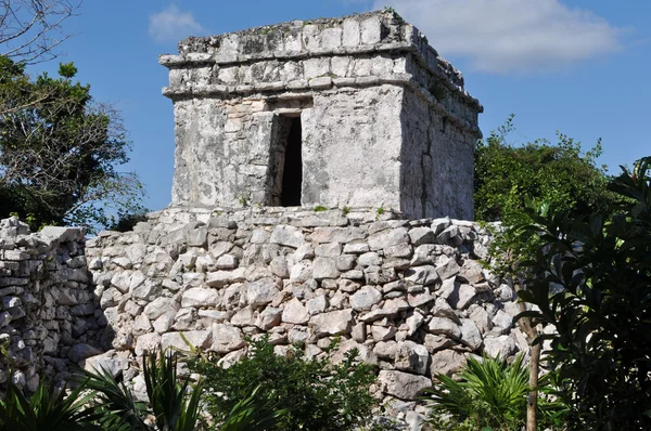 Tulum Mexique Ruines Mayas — Photo
