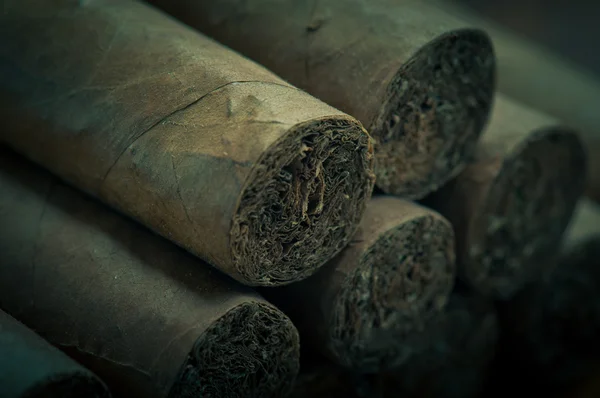 Sigaren — Stockfoto