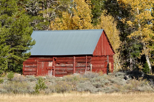 stock image Cabin in Fall