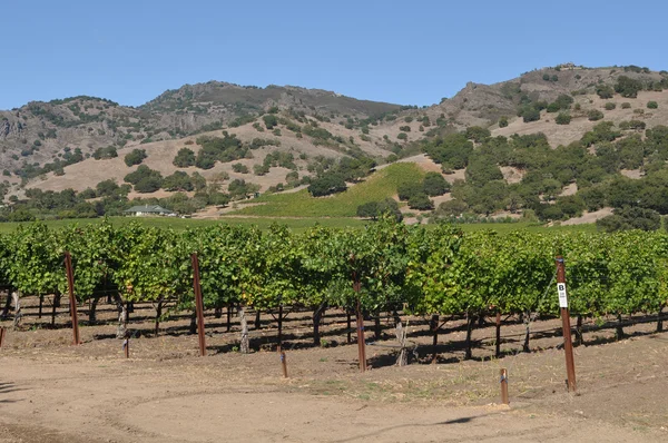 Napa Valley Winery — Stockfoto