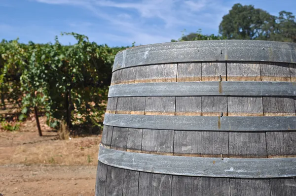 Вино барель і виноградник — стокове фото