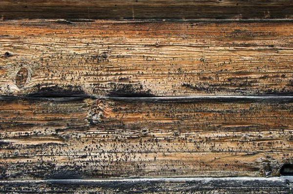 木材面板背景 — 图库照片