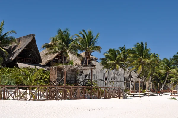 与棕榈树和小屋的海滩度假村 — 图库照片