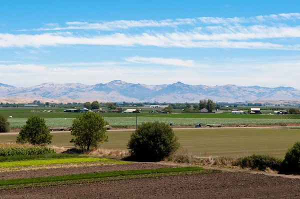Γεωργία αγρόκτημα στην Καλιφόρνια在加利福尼亚州的农业农场 — 图库照片
