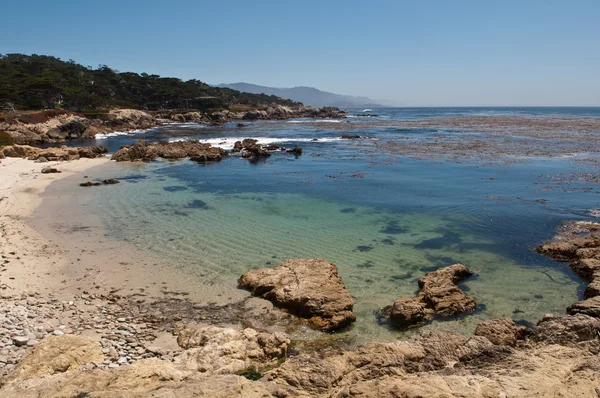 Monterey california sahil şeridi — Stok fotoğraf