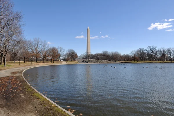 Монумент Вашингтона в зимовий період — стокове фото