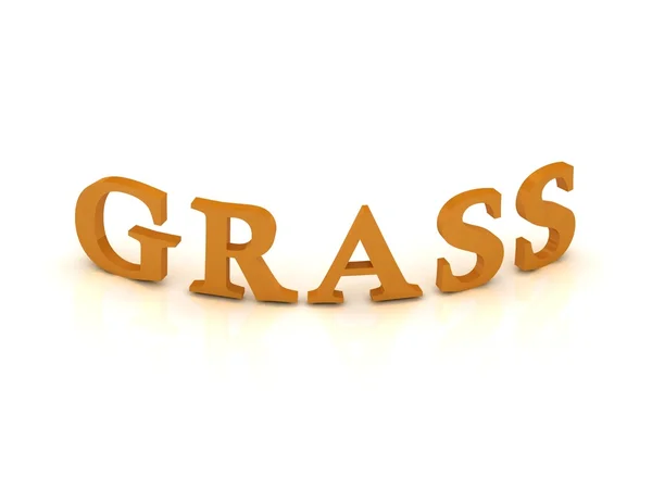 Symbol trávy s oranžovými písmeny — Stock fotografie