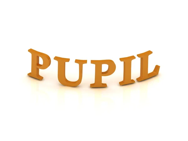 Знак PUPIL с оранжевыми буквами — стоковое фото