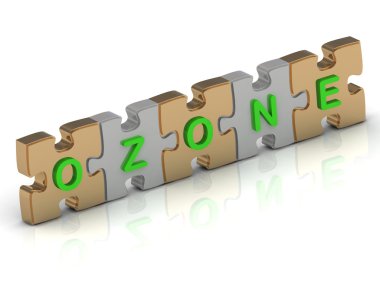Ozon sözcüğü gold Puzzle