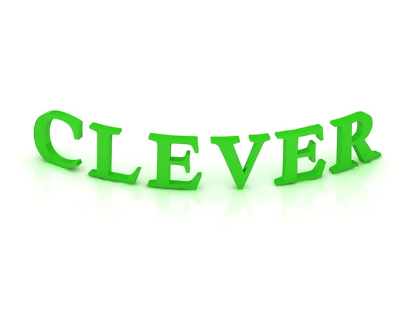 Cleveres Schild mit grünem Wort — Stockfoto