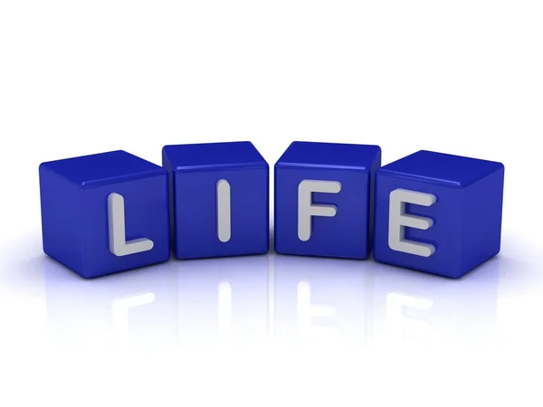Livet ordet på blå kuber — Stockfoto