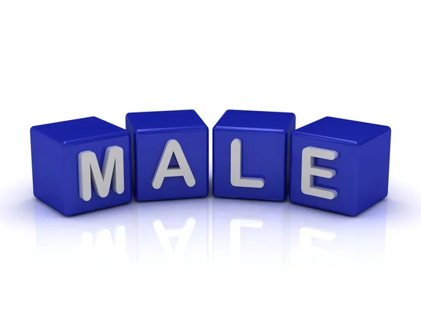 MALE word on blue cubes — Stock Photo, Image