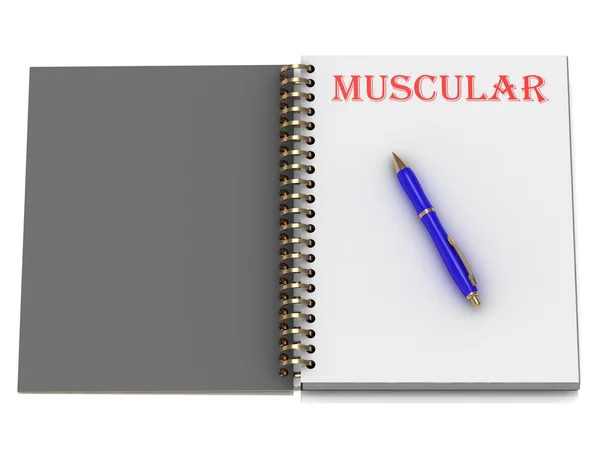 MUSCULAR word on notebook page — Stock Photo, Image