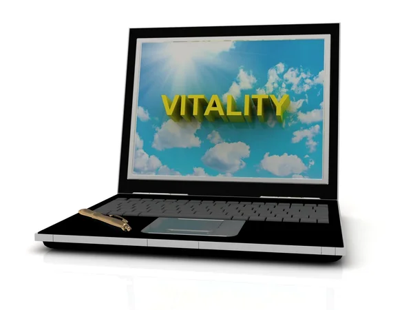 VITALITY sign on laptop screen — Stock Photo, Image