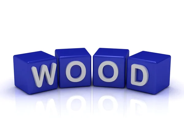 Drewno słowo na niebieski kostki — Zdjęcie stockowe