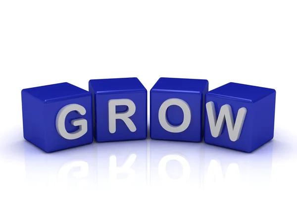 GROW word on blue cubes — Stock Photo, Image