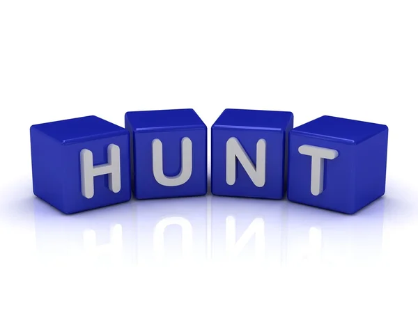 HUNT word on blue cubes — Stock Photo, Image